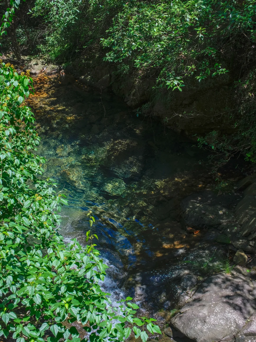 真的不在九寨沟！！在浙江！！美哭我😭😭