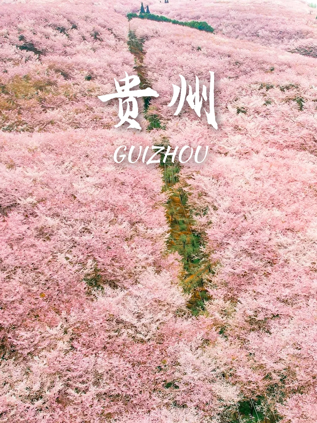 3-5月9个绝美樱花胜地‼️写给拍樱花的姐妹