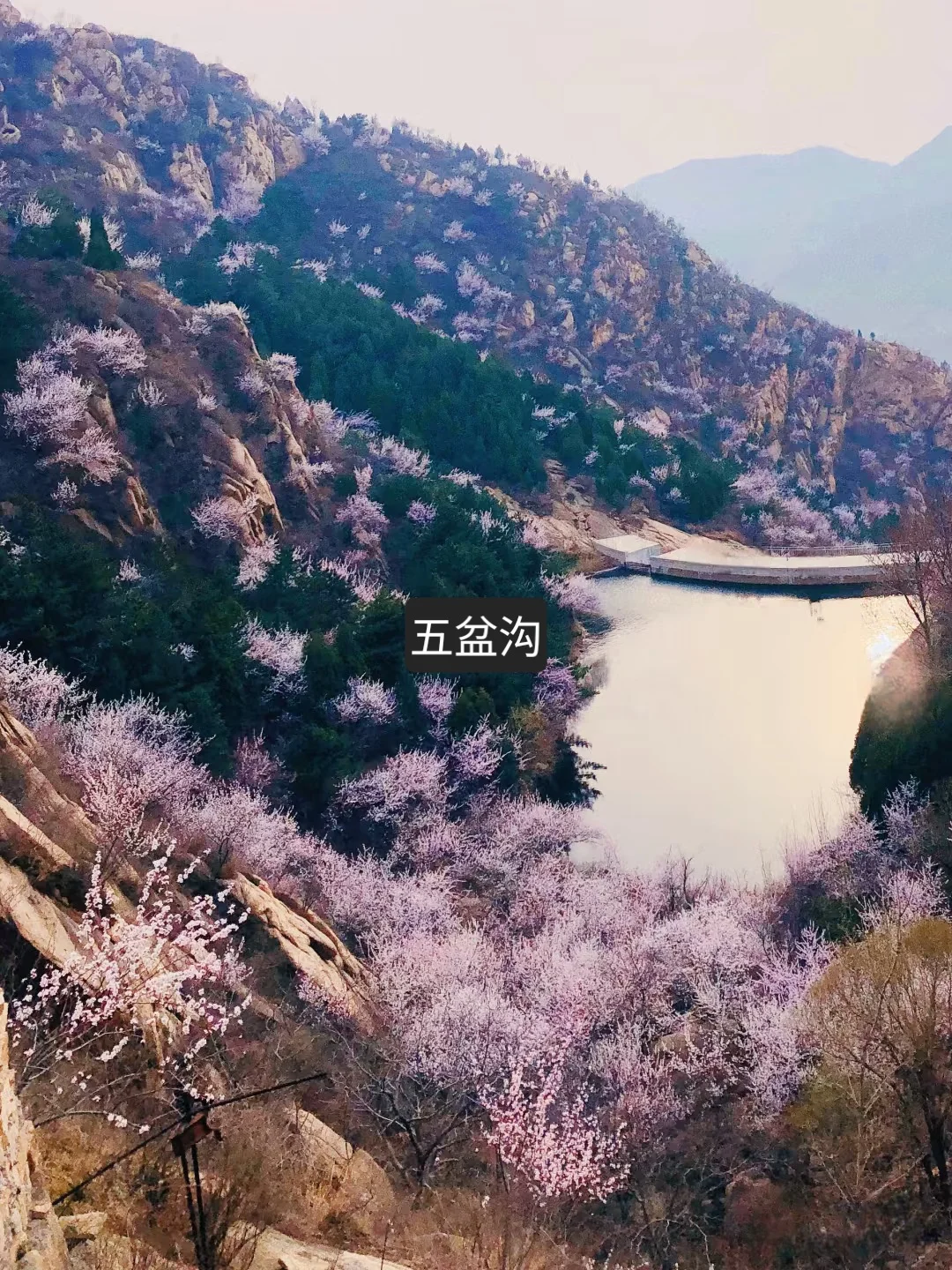 🌸 春日自驾 | 探索北京隐藏的美丽秘境