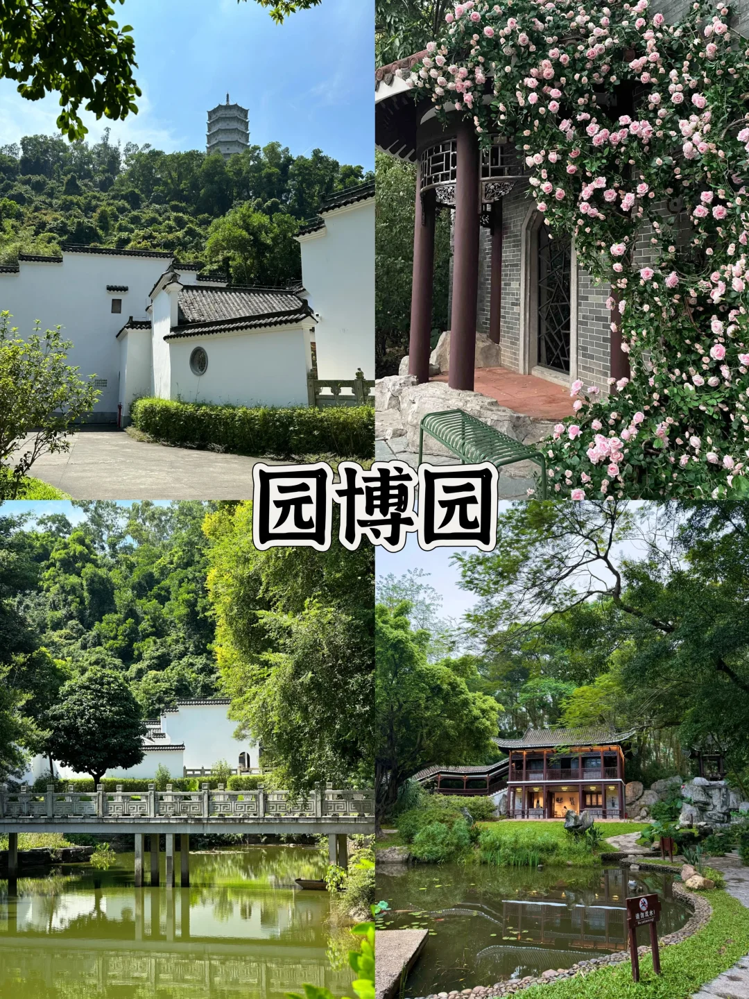 深圳地铁直达的9个免费景点全攻略(2)🔥