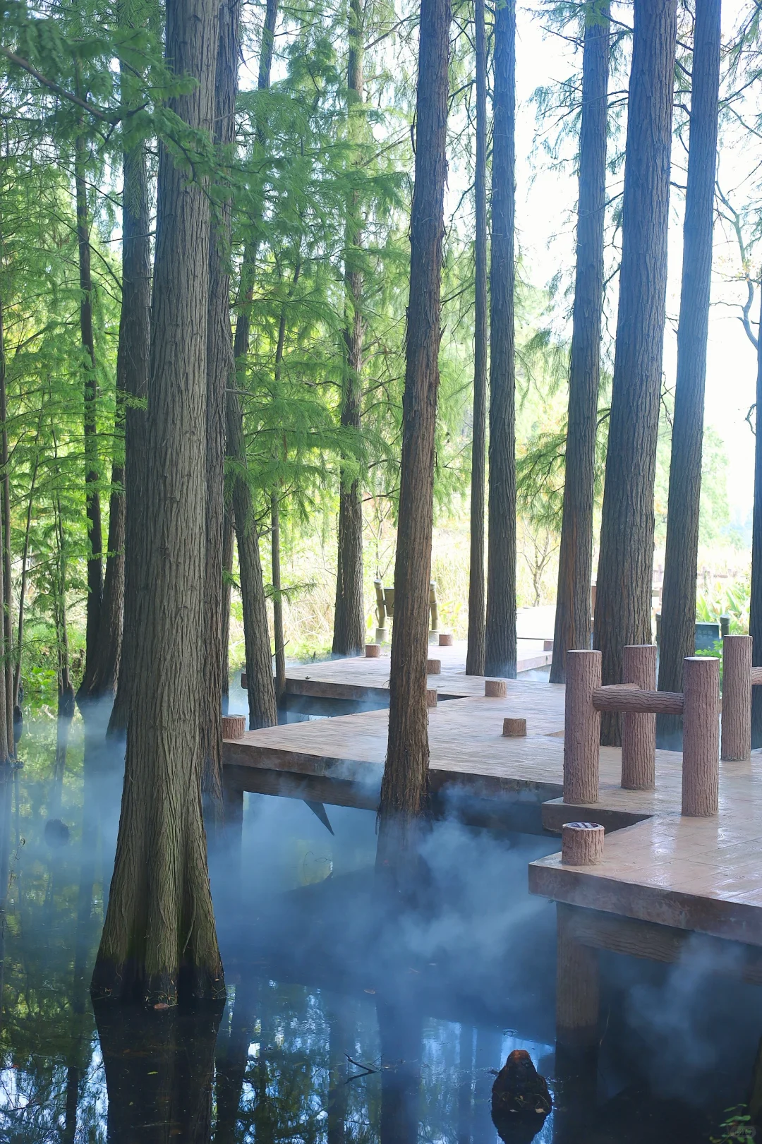 终于有人把东湖怎么玩说清楚了❗️干货不踩雷