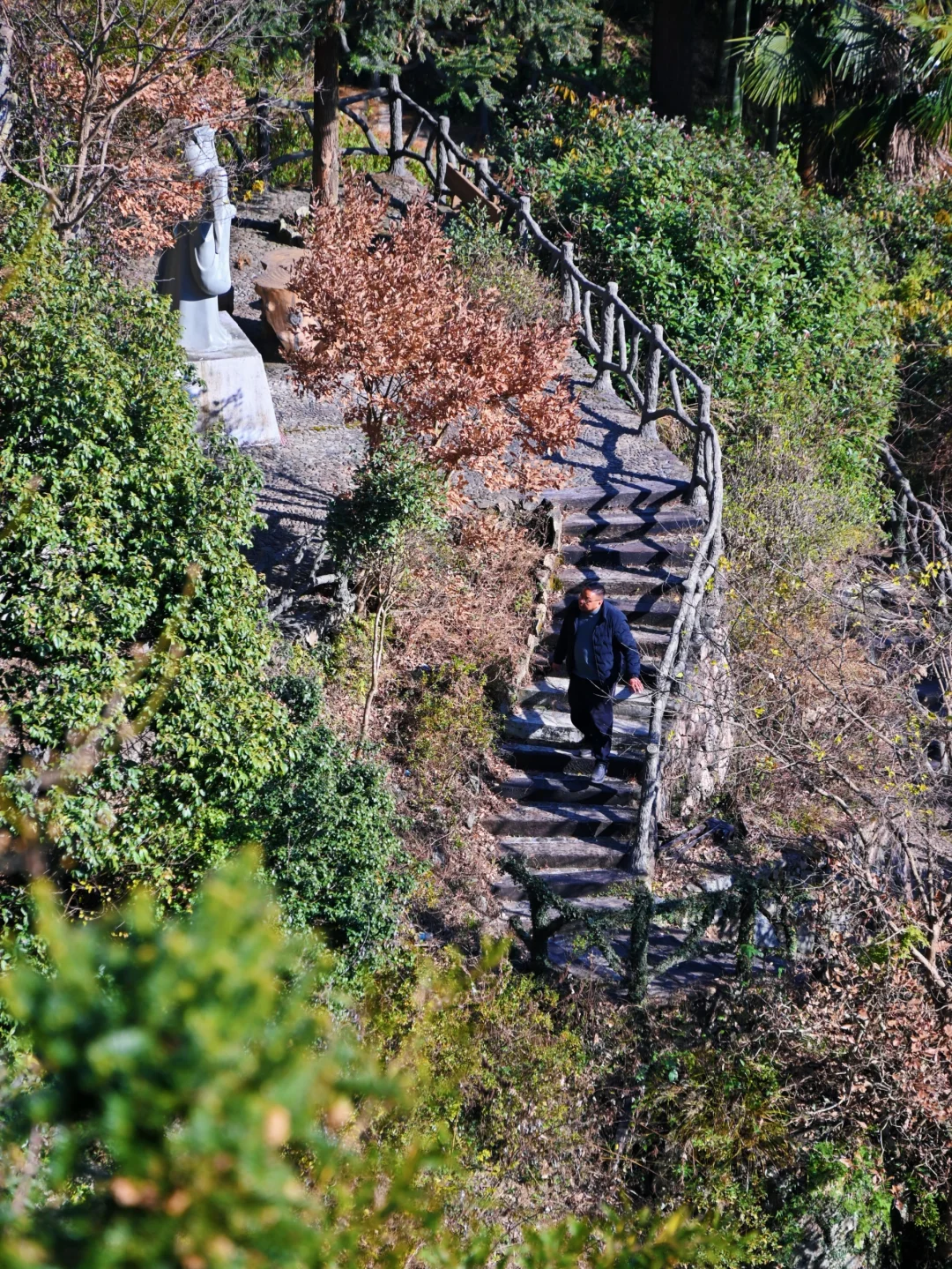 瑞士乡村？这是宁波1h直达的免费小众景点呀