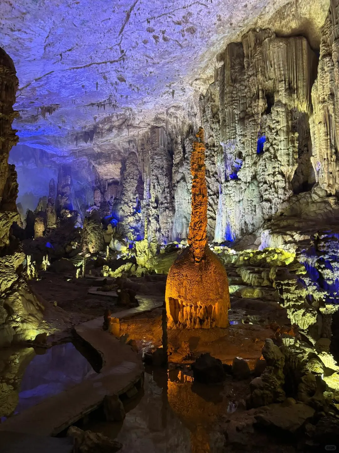 被《国家地理》评为中国最美杜鹃花海的现状