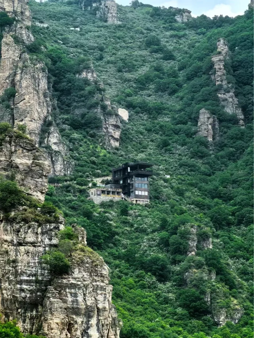 别错过🔥免票终于轮到京津山河四省啦~