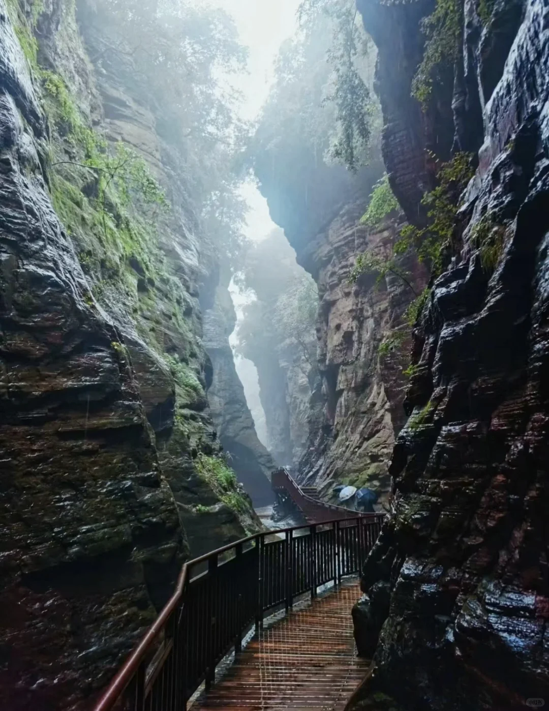 我一个人跟团去了中国唯一破产的5A级景区