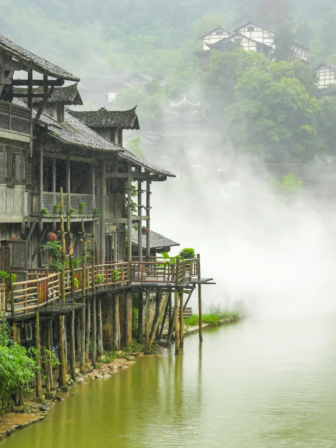 被《国家地理》评为中国最美杜鹃花海的现状