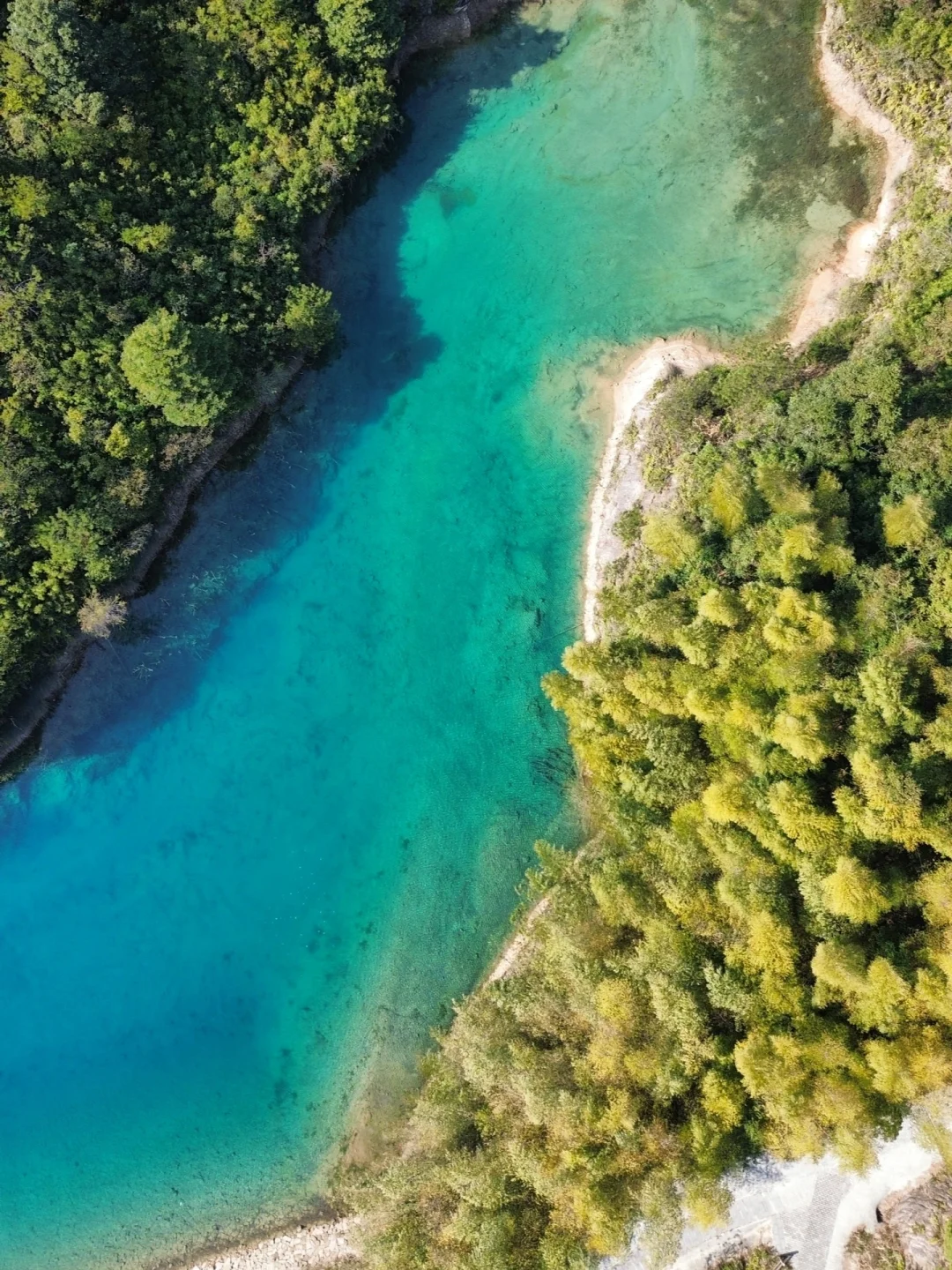 厦门版“九寨沟”,真的是眼睛的天堂!