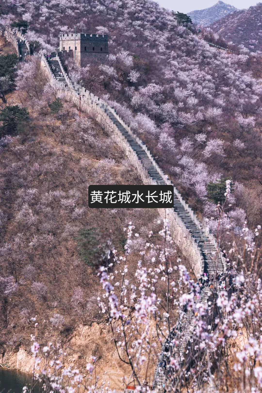 🌸 春日自驾 | 探索北京隐藏的美丽秘境