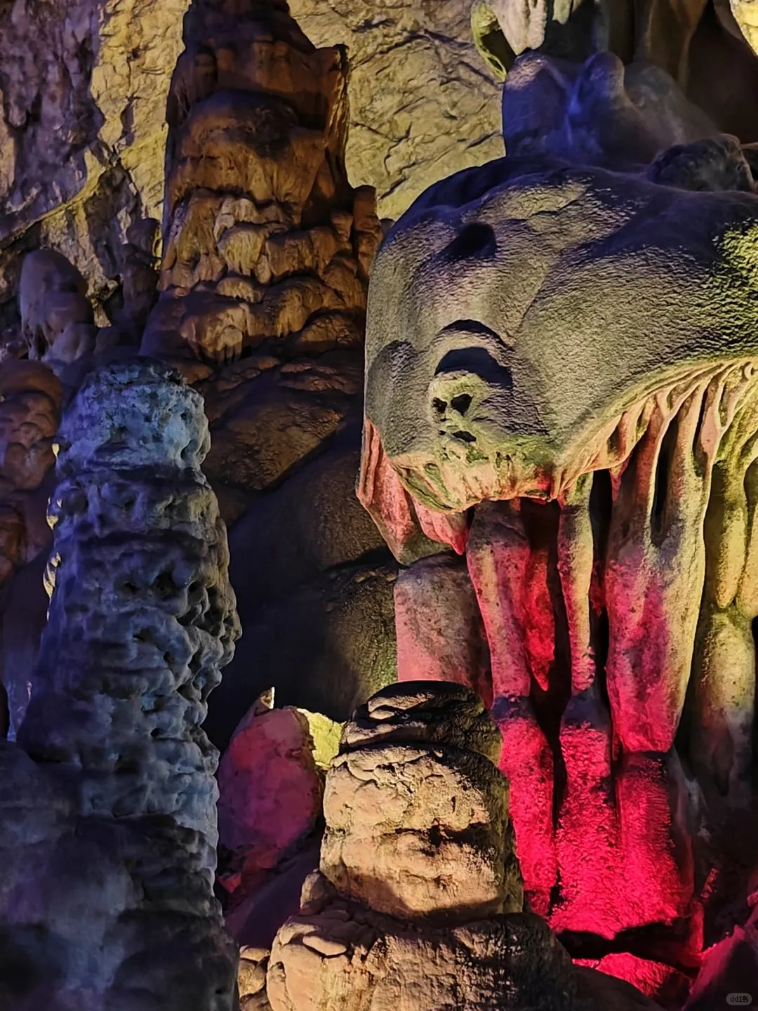 被《国家地理》评为中国最美杜鹃花海的现状