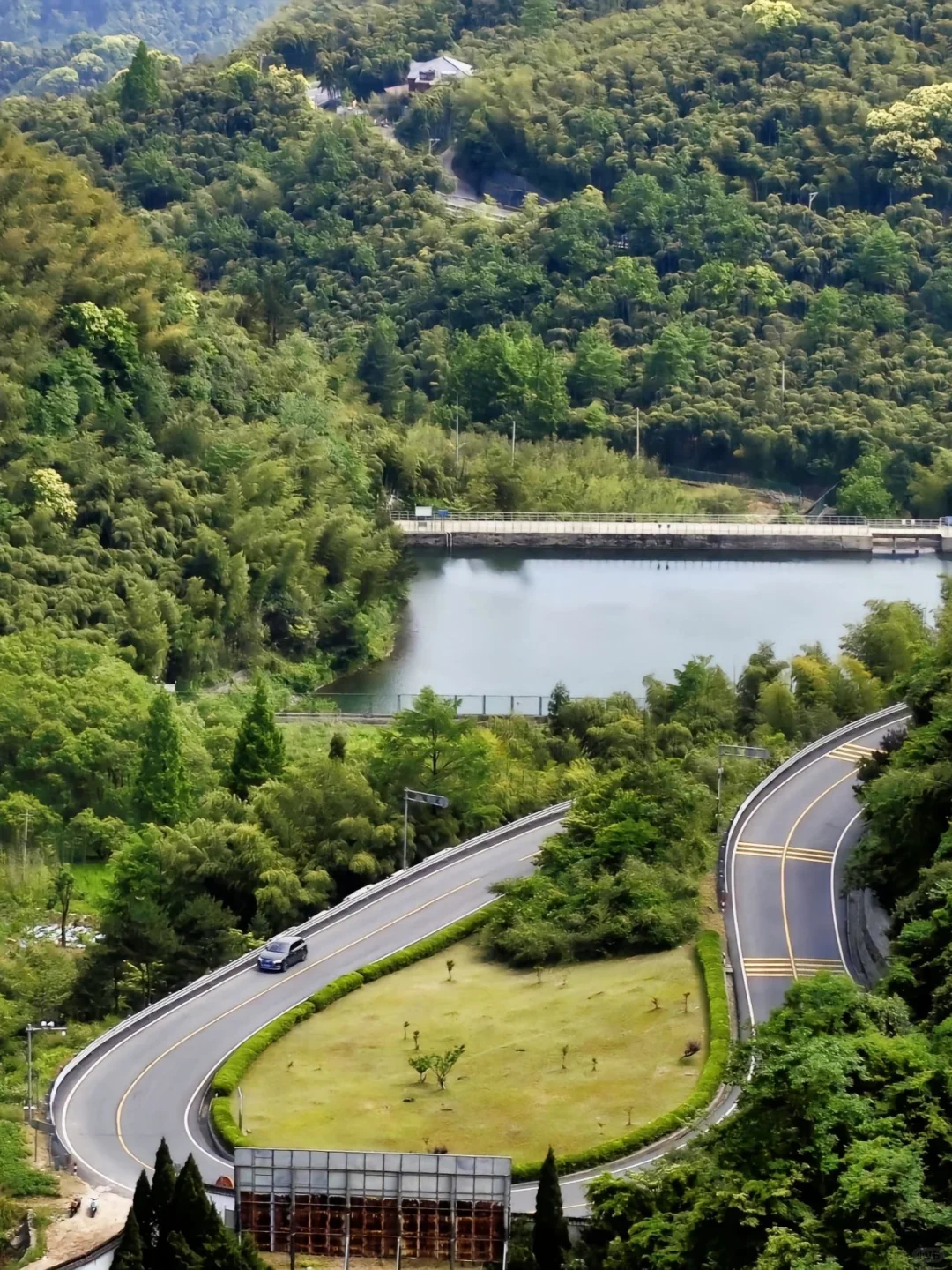 在安吉‼️朋友圈问疯了！都以为我去新疆了
