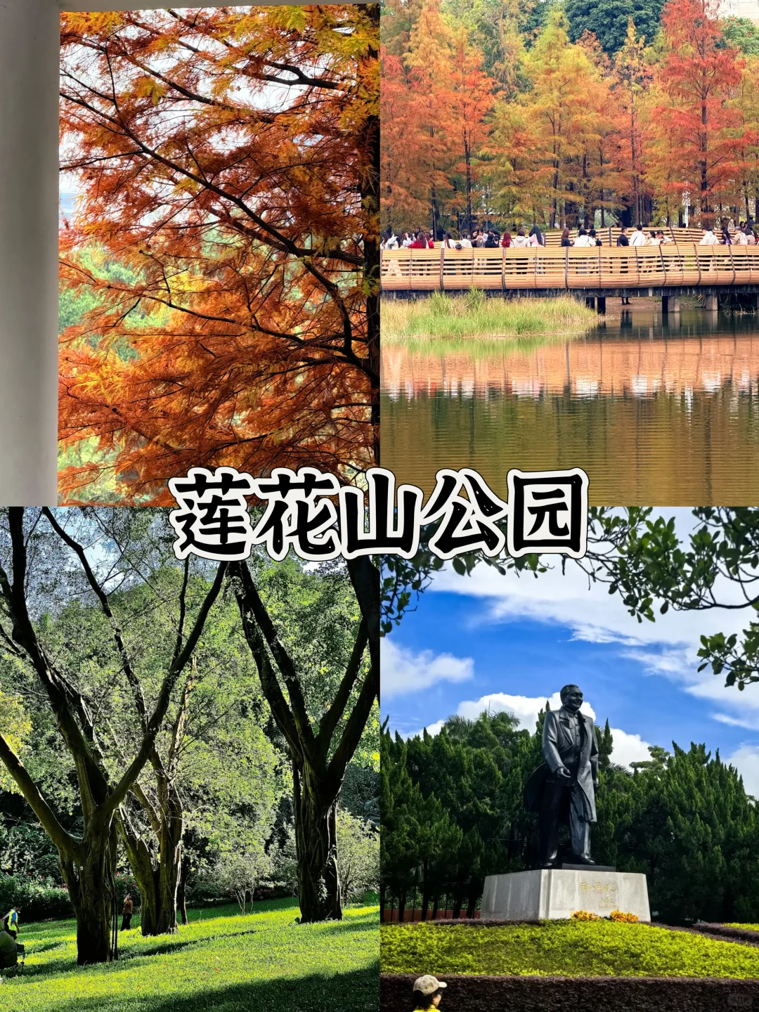 深圳地铁直达的9个免费景点全攻略(2)🔥