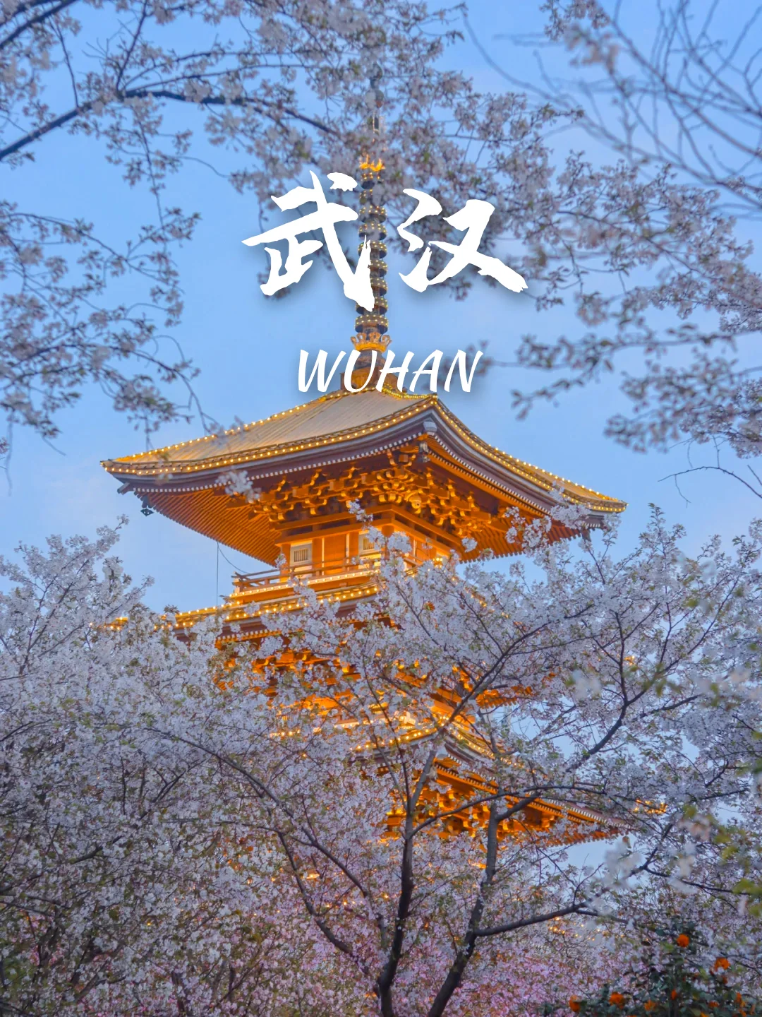 3-5月9个绝美樱花胜地‼️写给拍樱花的姐妹