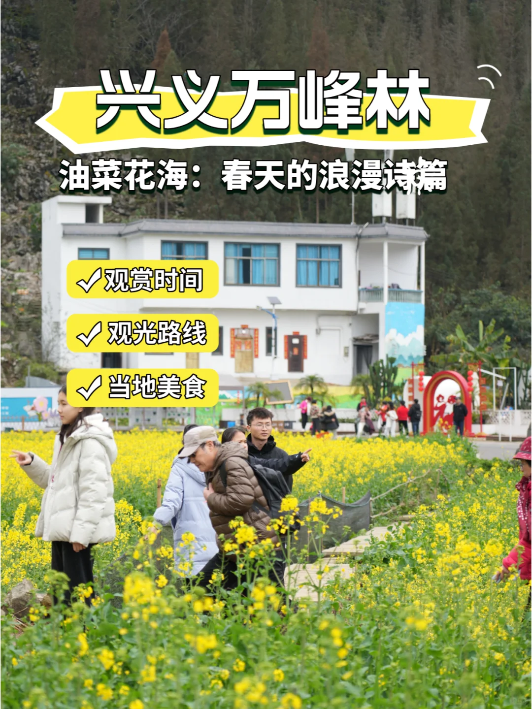 春日盛景，醉美兴义万峰林油菜花海