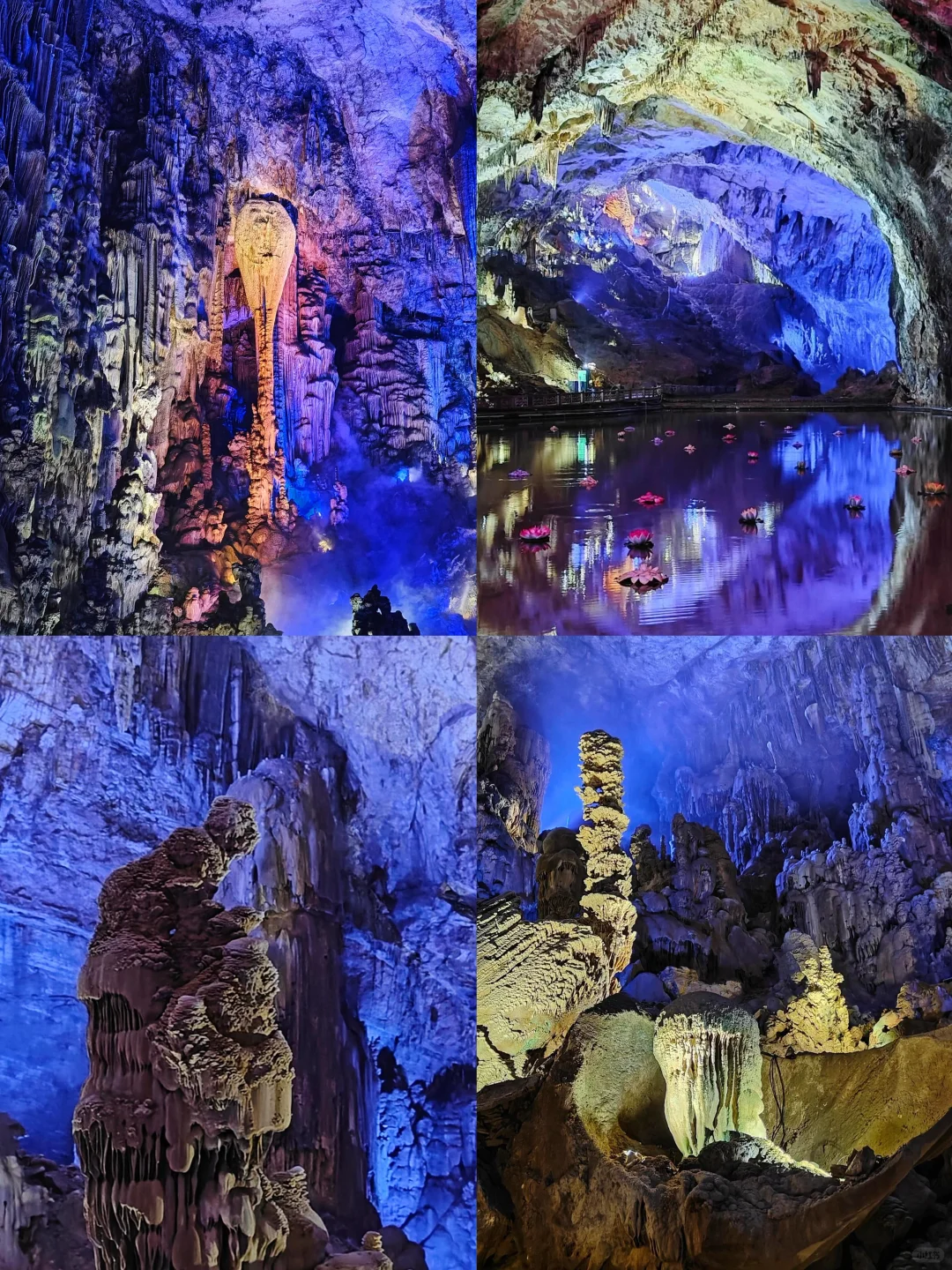 🌈贵州毕节| 2-4 月来真香，邂逅花海之旅！