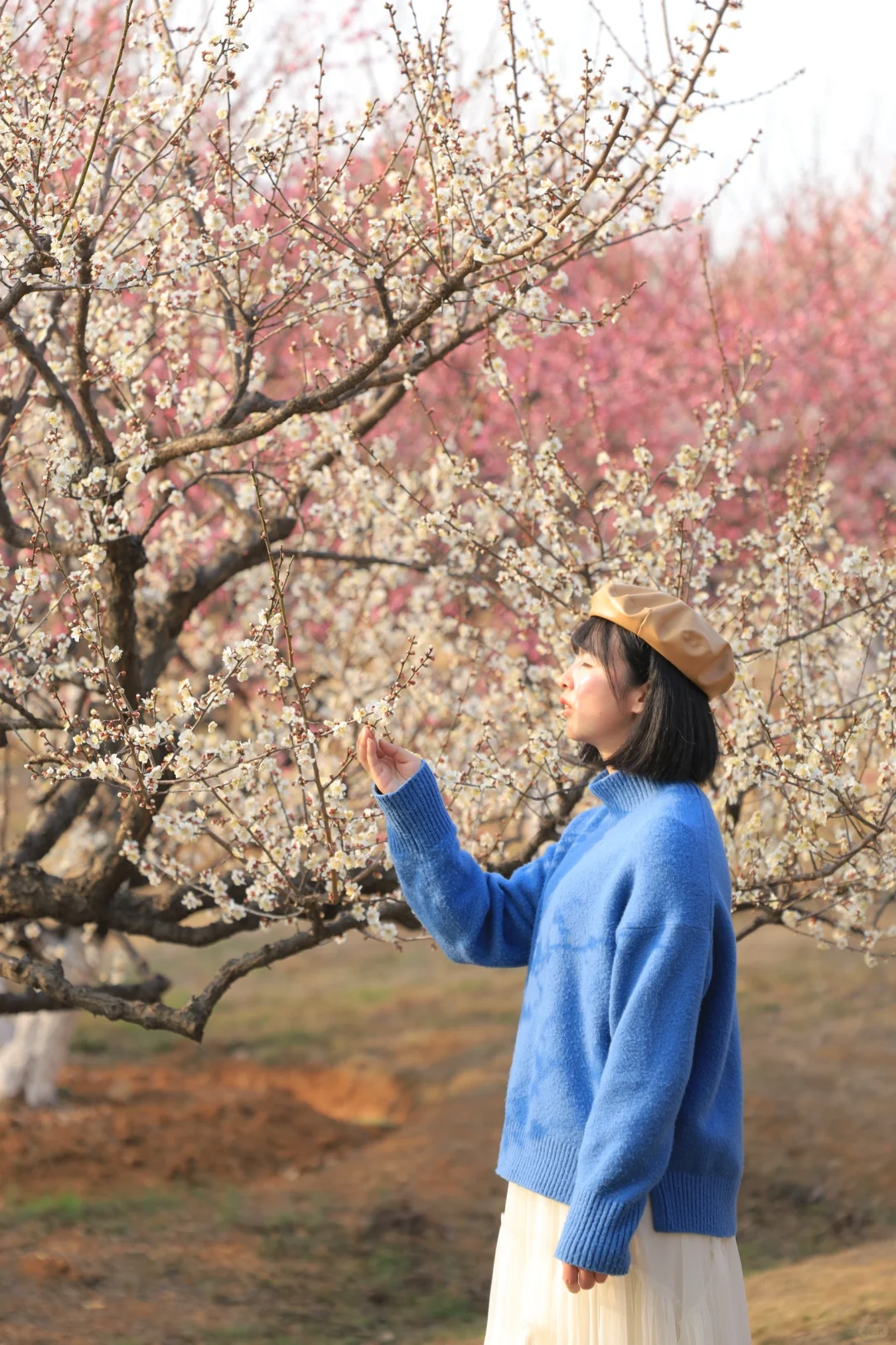 终于有人把东湖怎么玩说清楚了❗️干货不踩雷