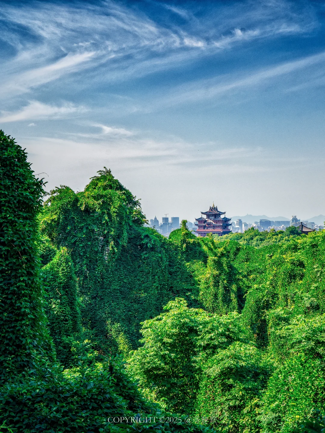 严重被低估❗️杭州市内冷门的citywalk路线