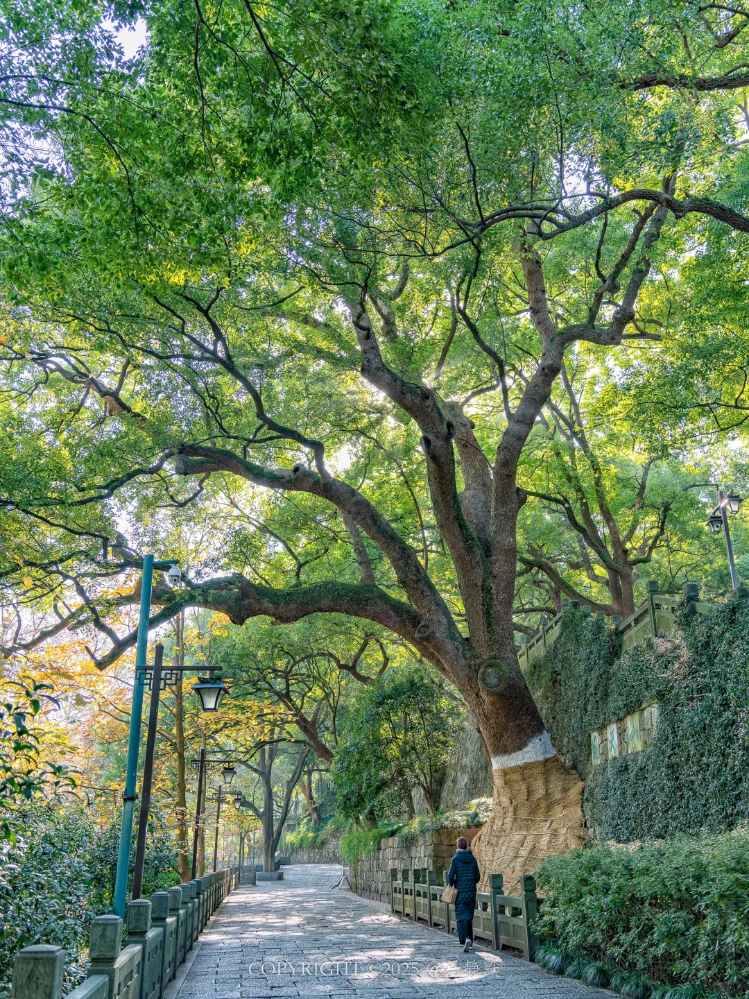 严重被低估❗️杭州市内冷门的citywalk路线