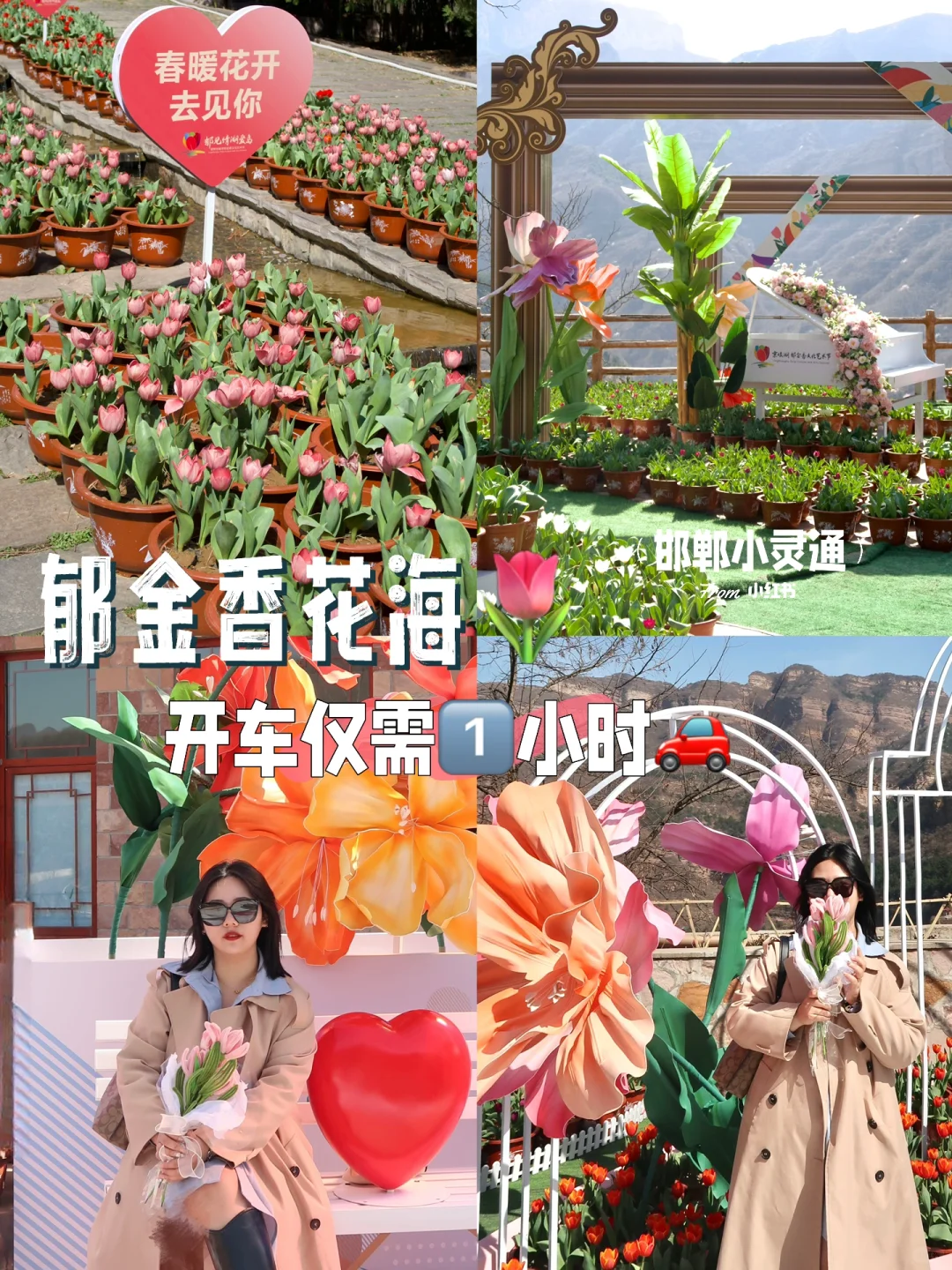 邯郸邢台周边游｜开车一小时的春游好去处🌷