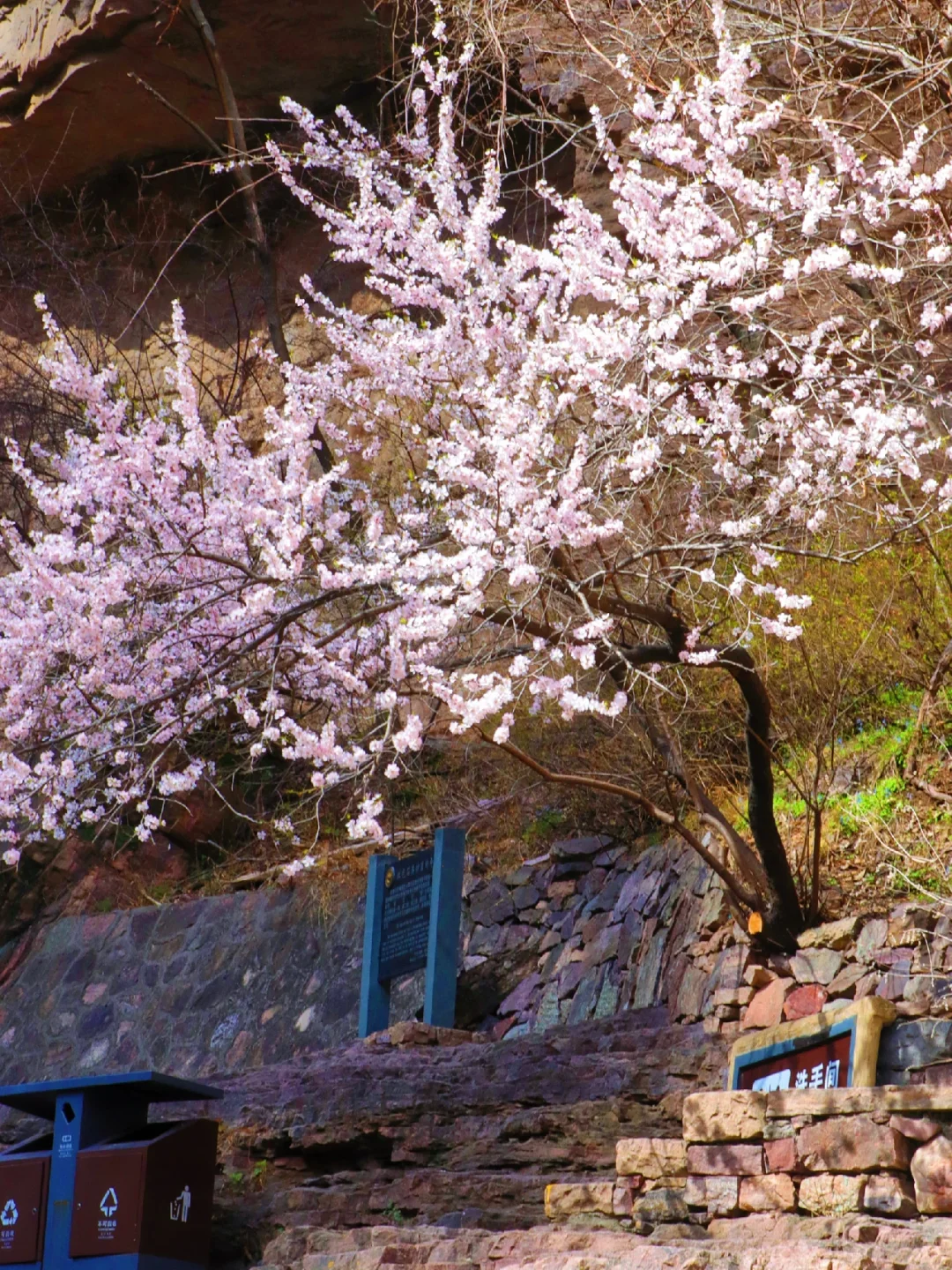 美哭了😭河南这个景区简直堪称“小九寨沟”‼️