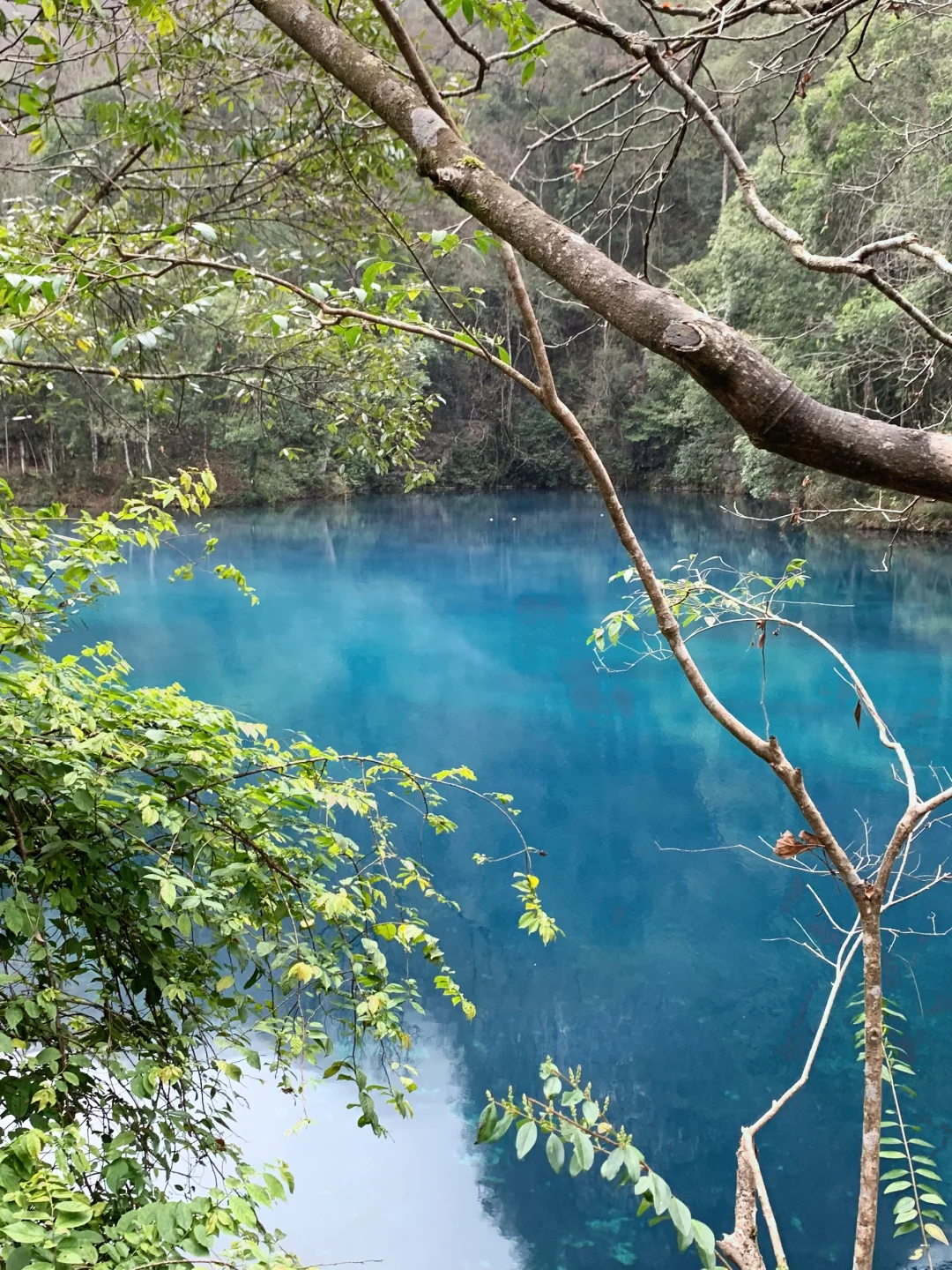 荔波小七孔2.21实况 | 阴天也完全不用担心
