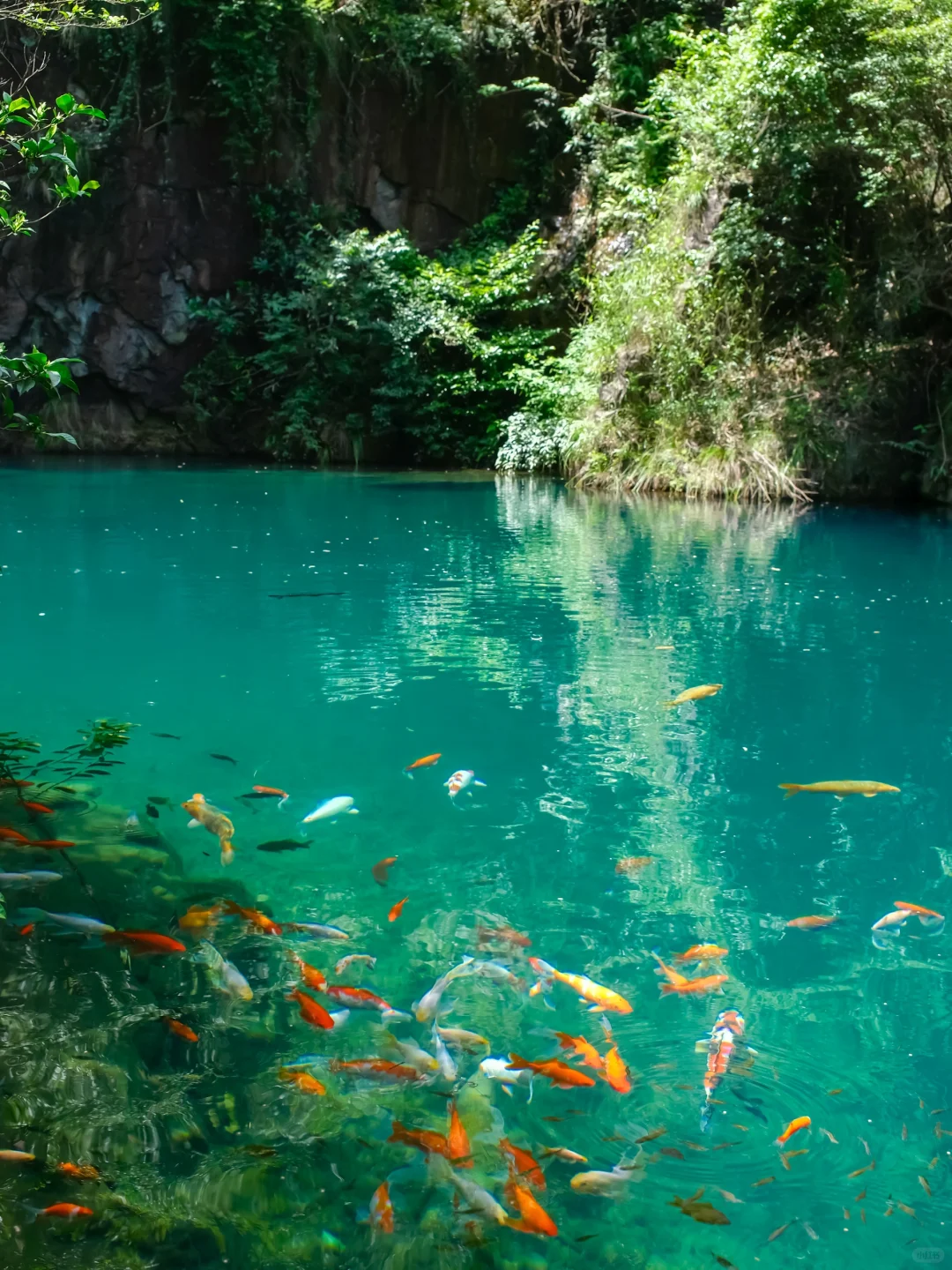 真的不在九寨沟！！在浙江！！美哭我😭😭
