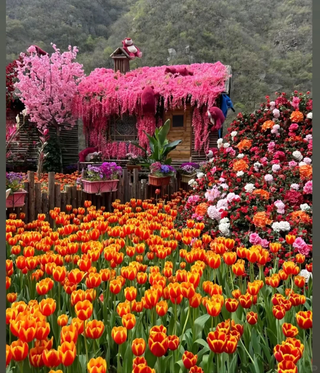 邯郸到宝泉，这样去才有性价比！