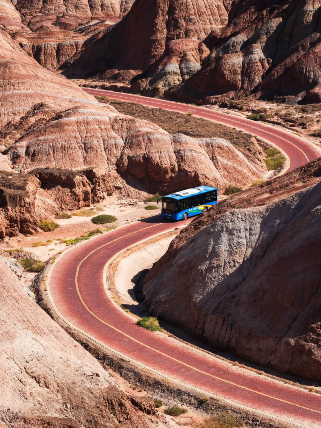 刚和姐妹西北归来🔥报对团有多重要‼️