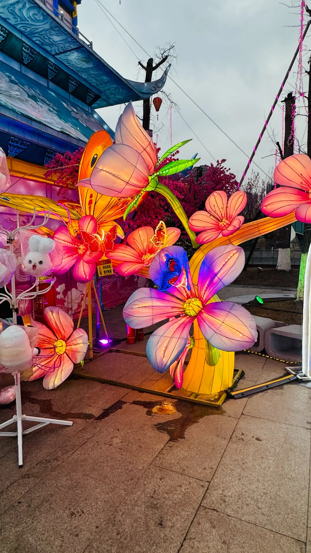 打卡成都熊猫灯会