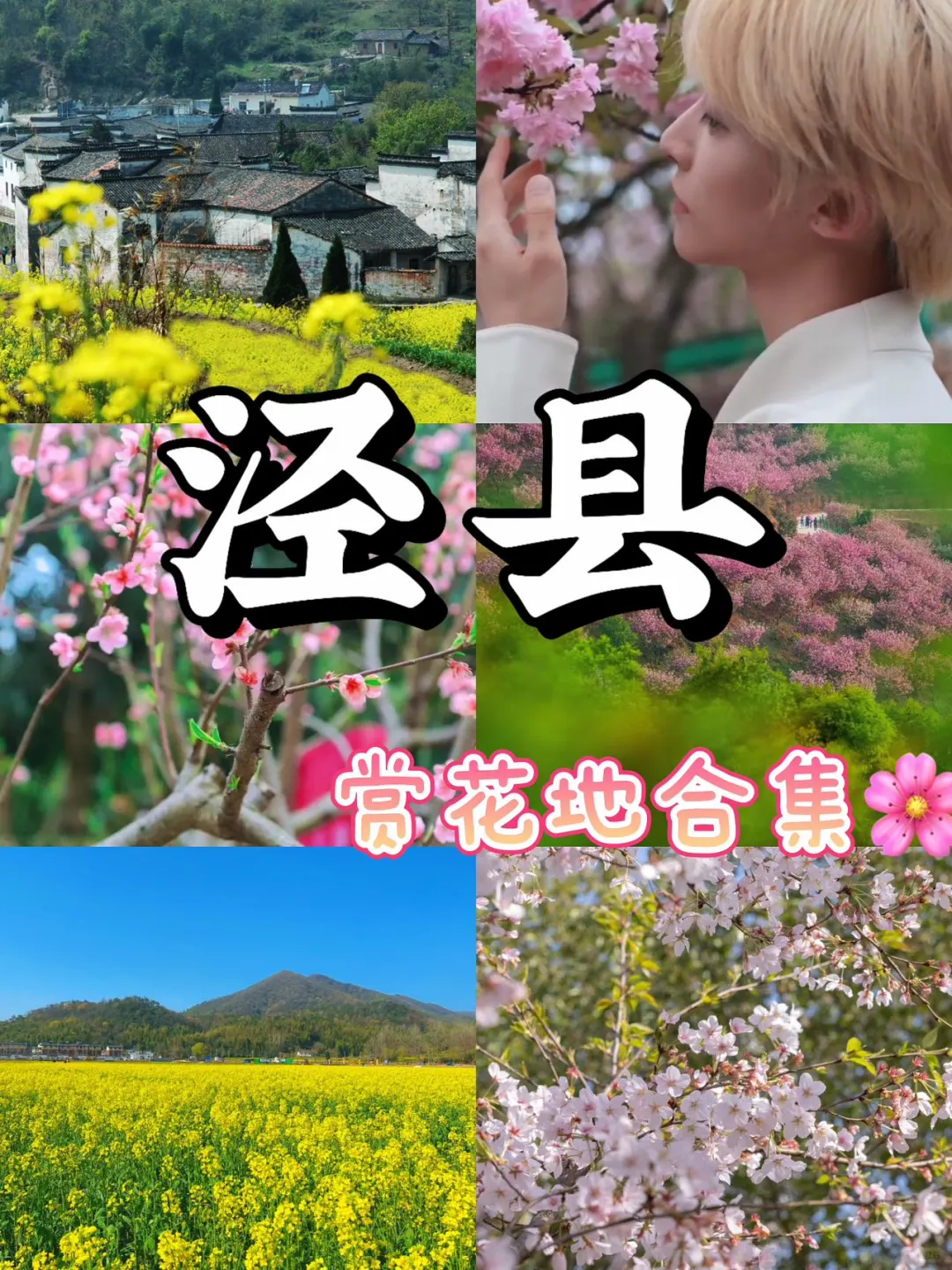 接下来，开始期待泾县的春季花海~