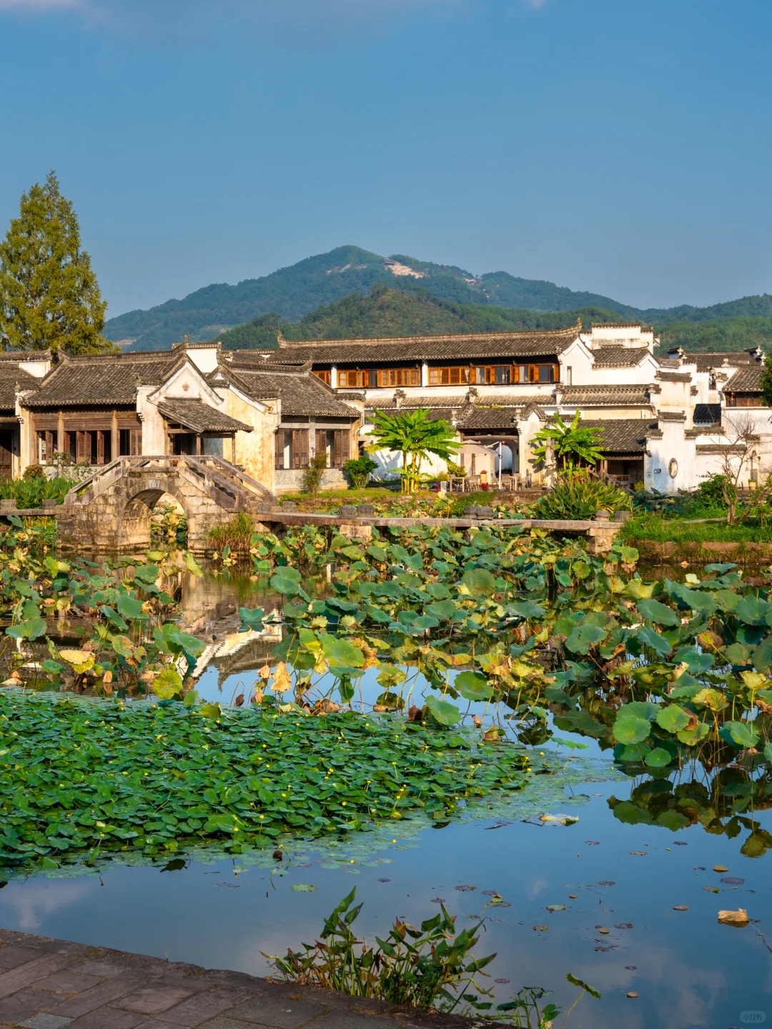 以为宏村很美了,直到我来到了这里‼️