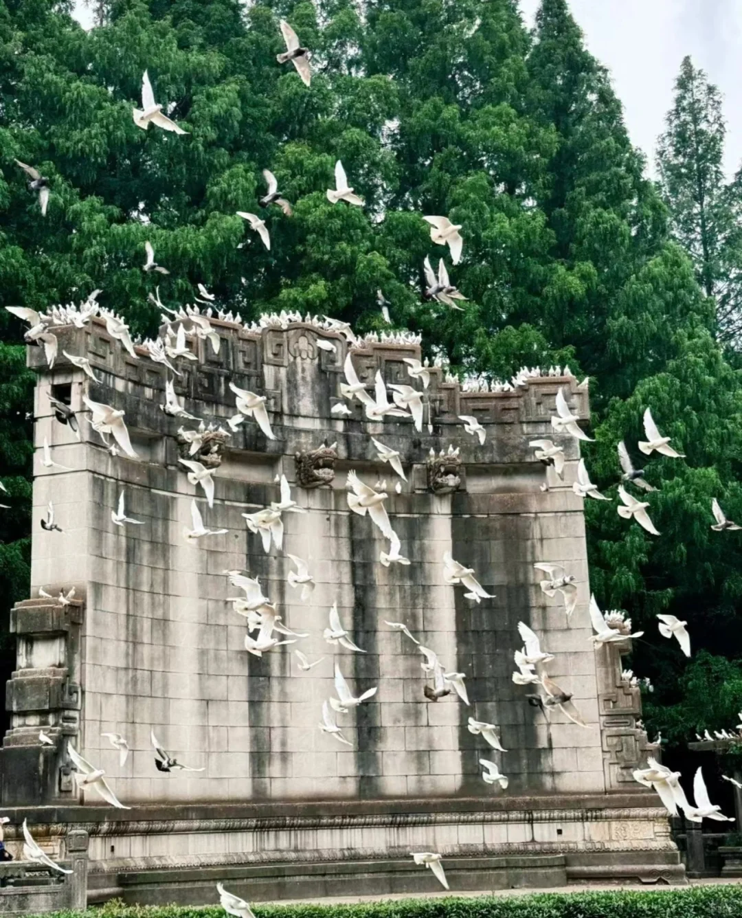 03女大📍南京/两天一夜精华版旅游攻略❗️