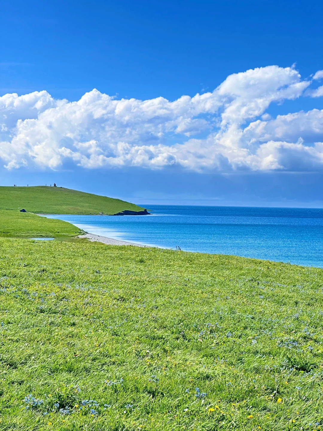 新疆旅游🍃在伊犁拍到了人生live～