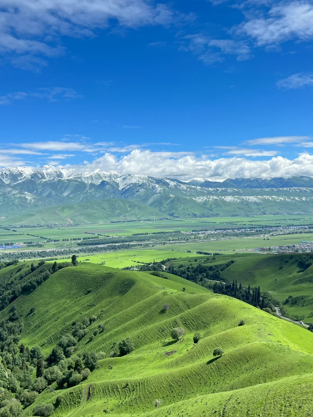 新疆旅游🍃在伊犁拍到了人生live～