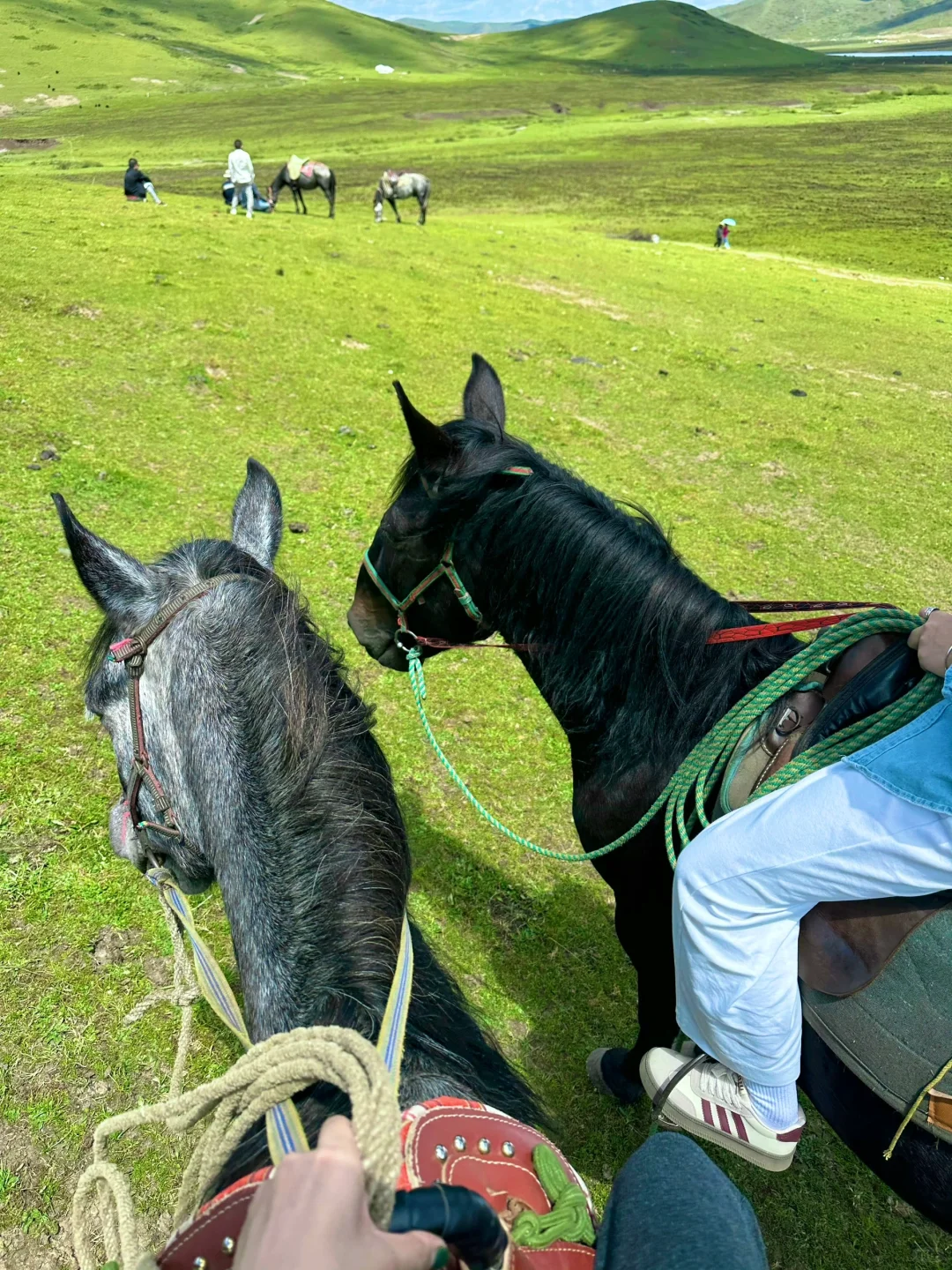 新疆旅游🍃在伊犁拍到了人生live～