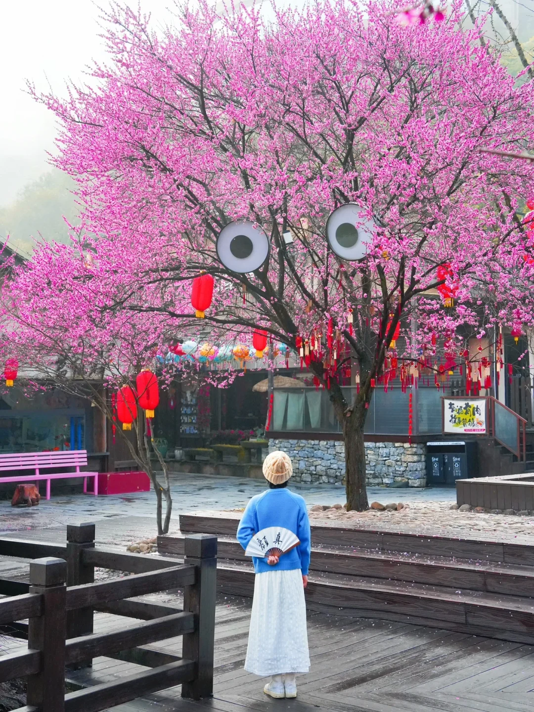 不愧是《国家地理》推荐的人间仙境‼美哭我😭