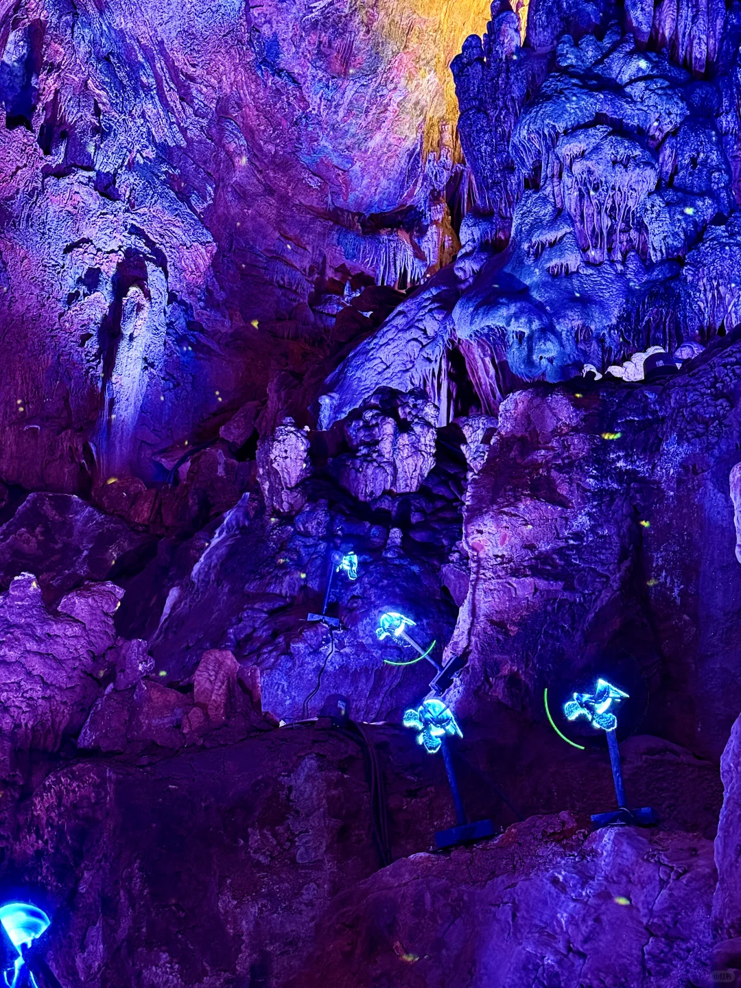 小红书跟风超成功❗️来到萤火虫般梦幻仙境❗️