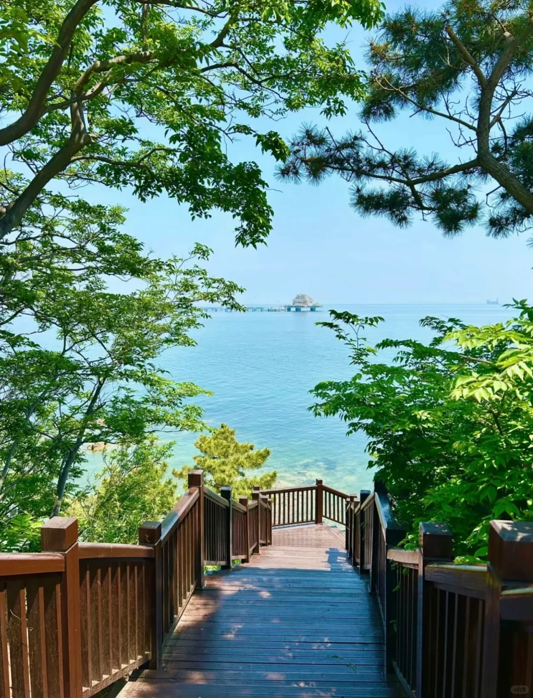 烟台旅游攻略|让你烟台旅游省时又省心！