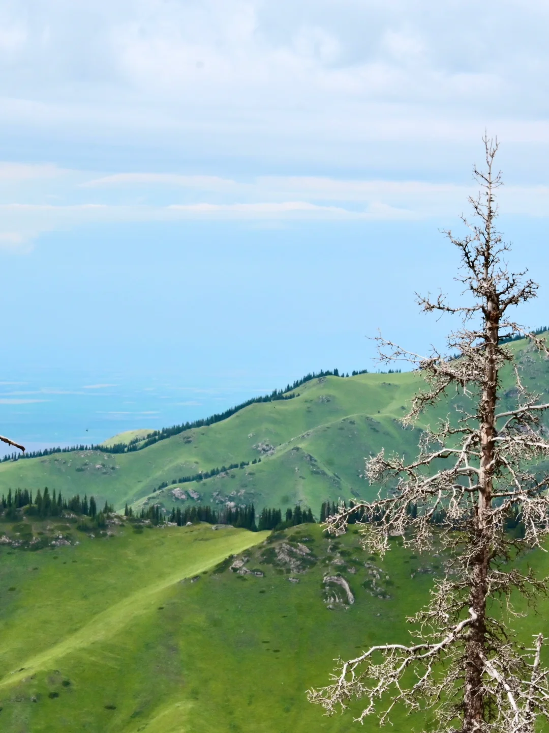 新疆伊犁环线自驾旅游攻略-景点门票篇🏷