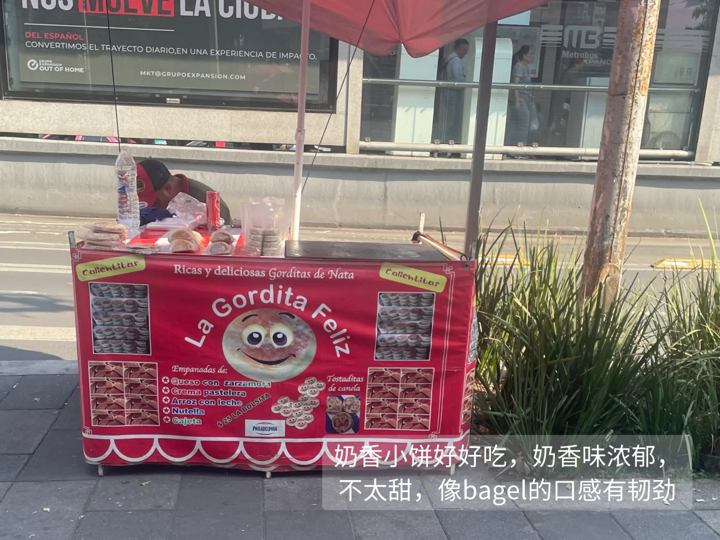 墨西哥城🇲🇽带娃旅游攻略