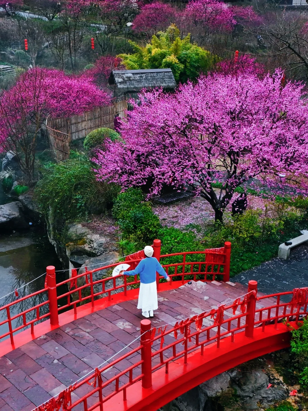 不愧是《国家地理》推荐的人间仙境‼美哭我😭