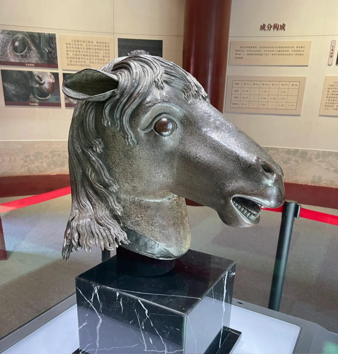 秋天的圆明园别有一番秋味🍂 北京.圆明园