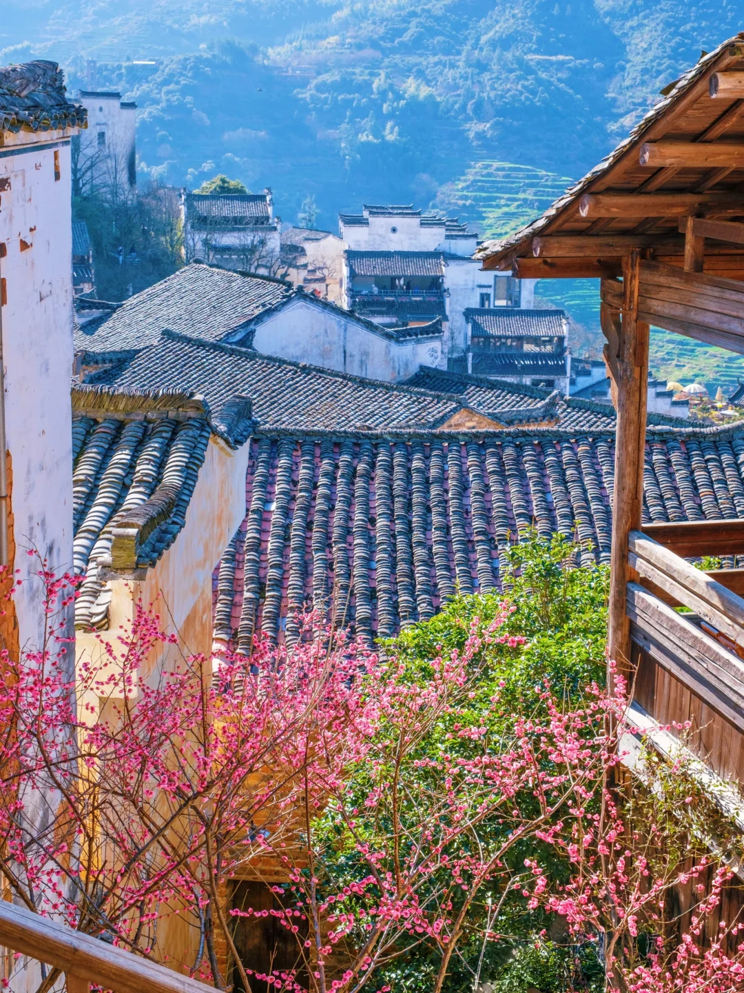 被国家地理评为最美古村👍🏻春天好绝‼️