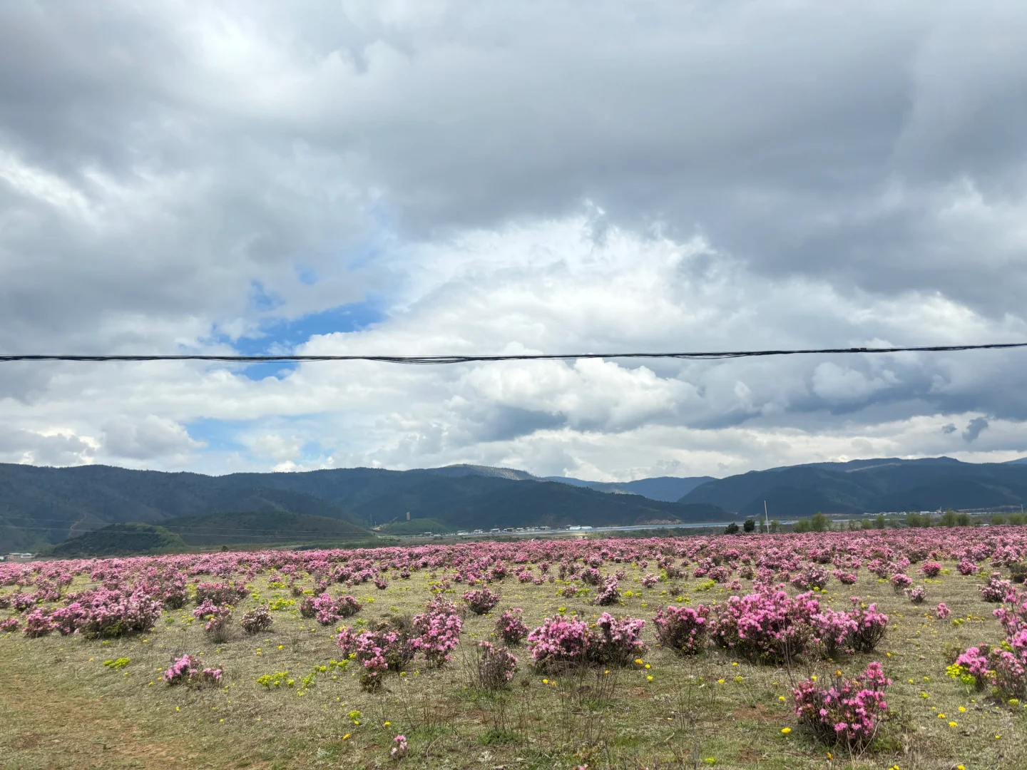 6月云南旅游攻略推荐！