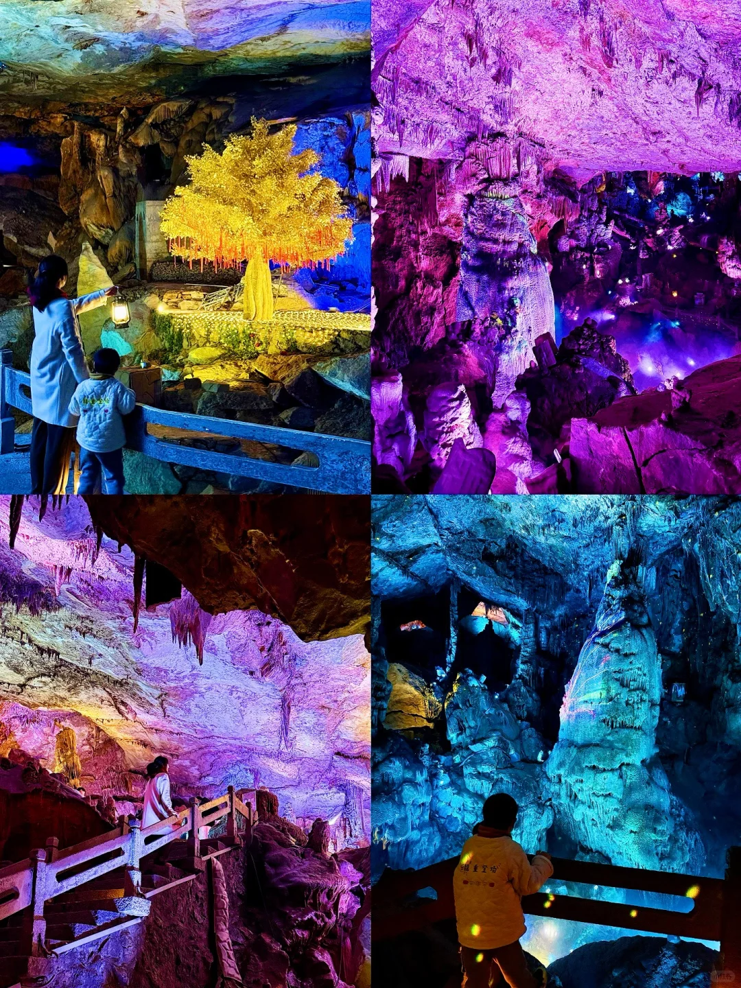 小红书跟风超成功❗️来到萤火虫般梦幻仙境❗️