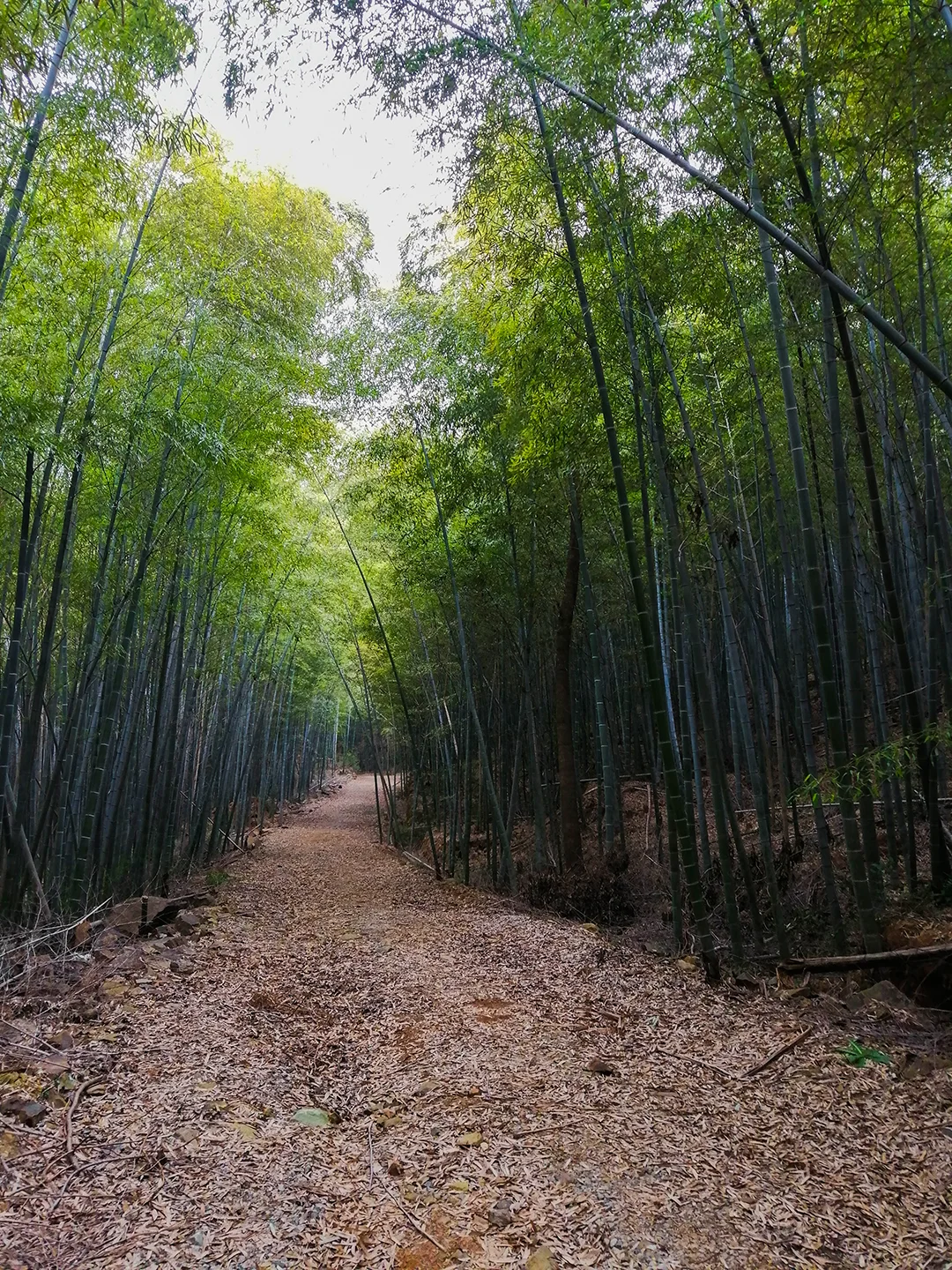 🏔每周一山：旺山大环线徒步攻略