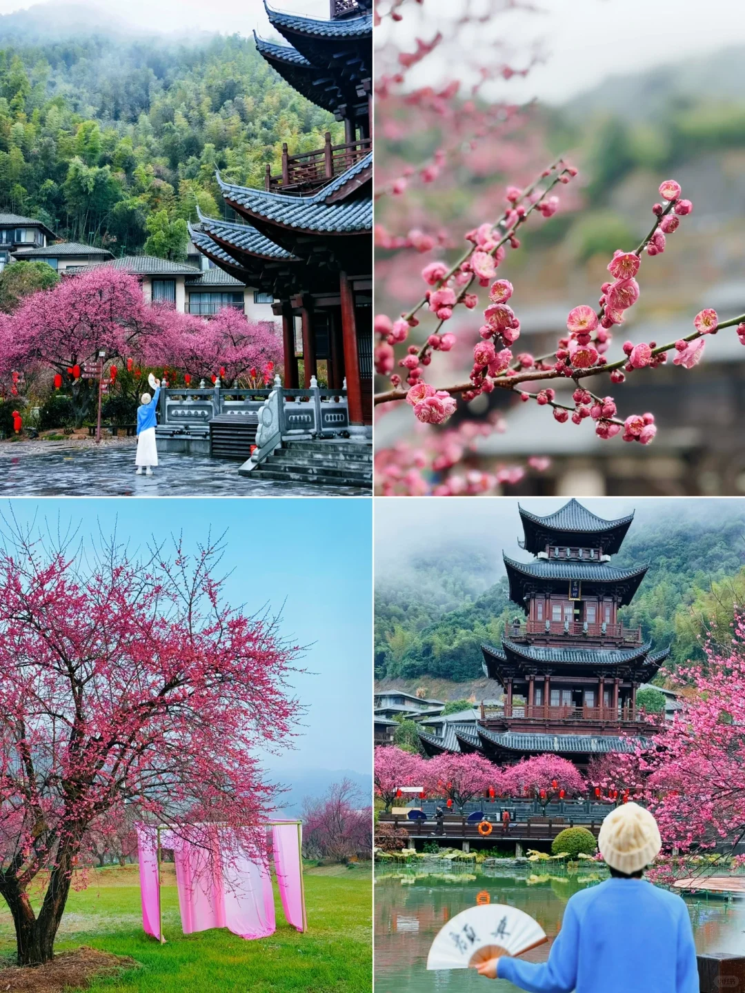 不愧是《国家地理》推荐的人间仙境‼美哭我😭