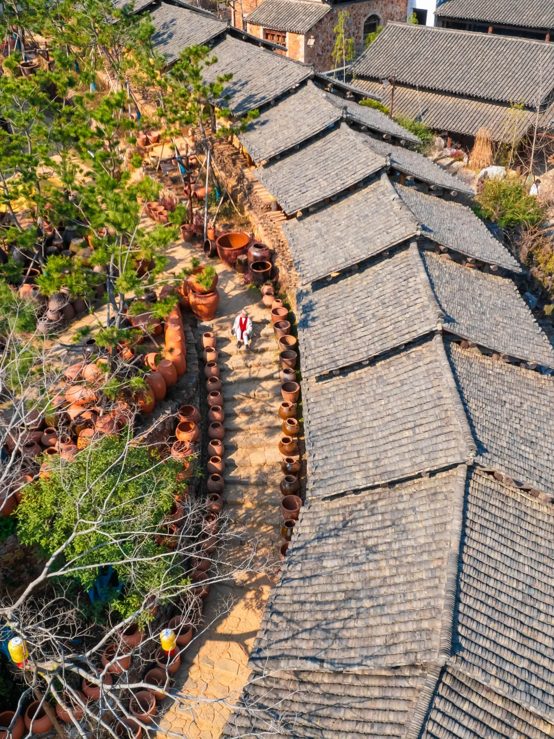 被低估的江浙沪宝藏小镇‼真的美哭😭了