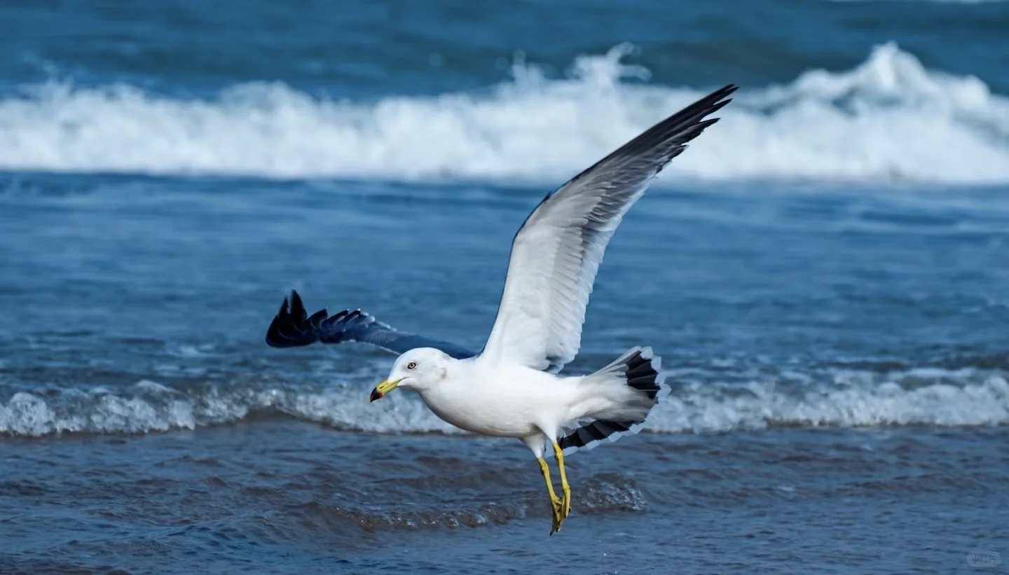 ❤山东威海 三天两夜旅行攻略