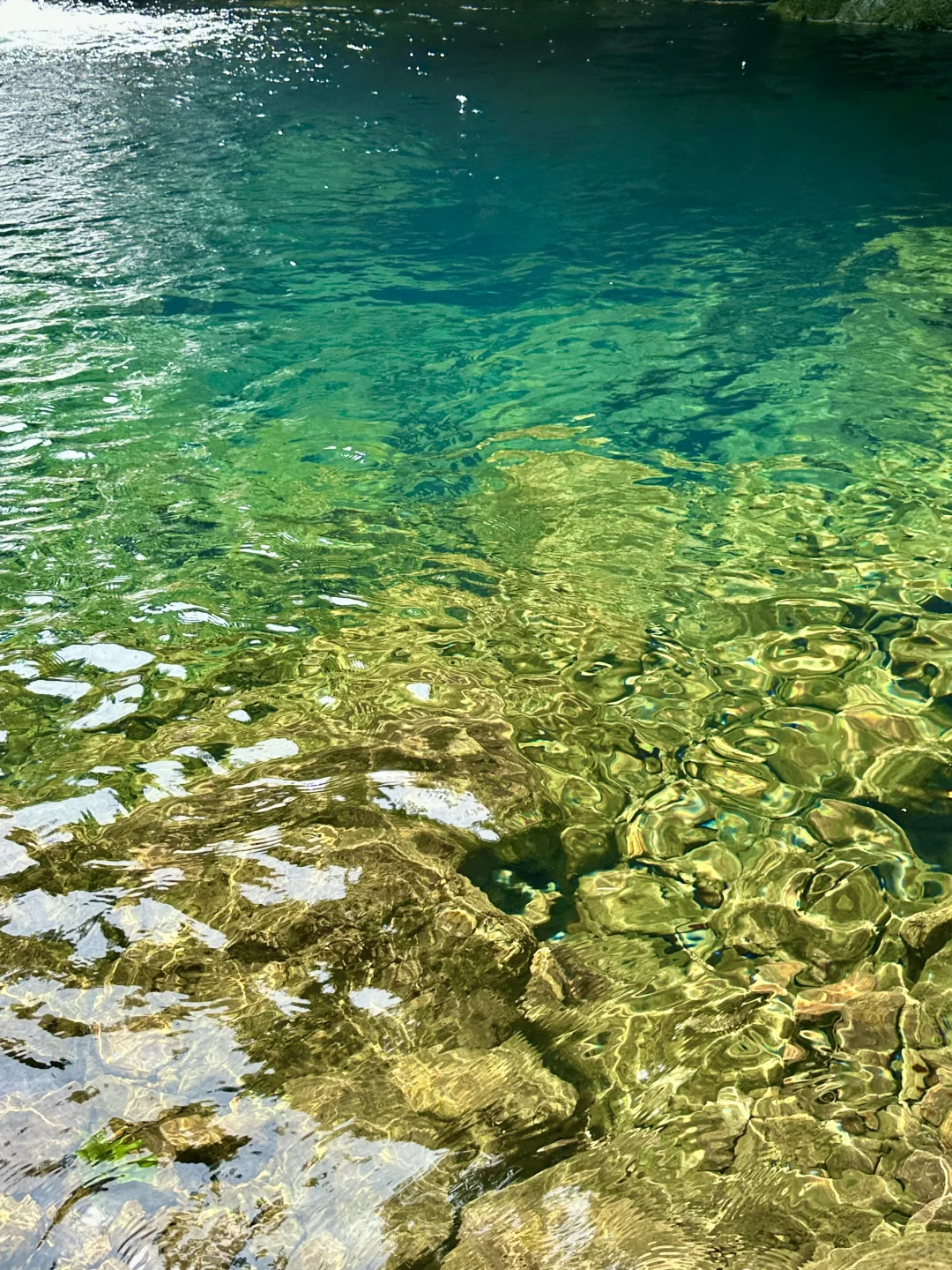 小红书跟风超成功❗️来到萤火虫般梦幻仙境❗️