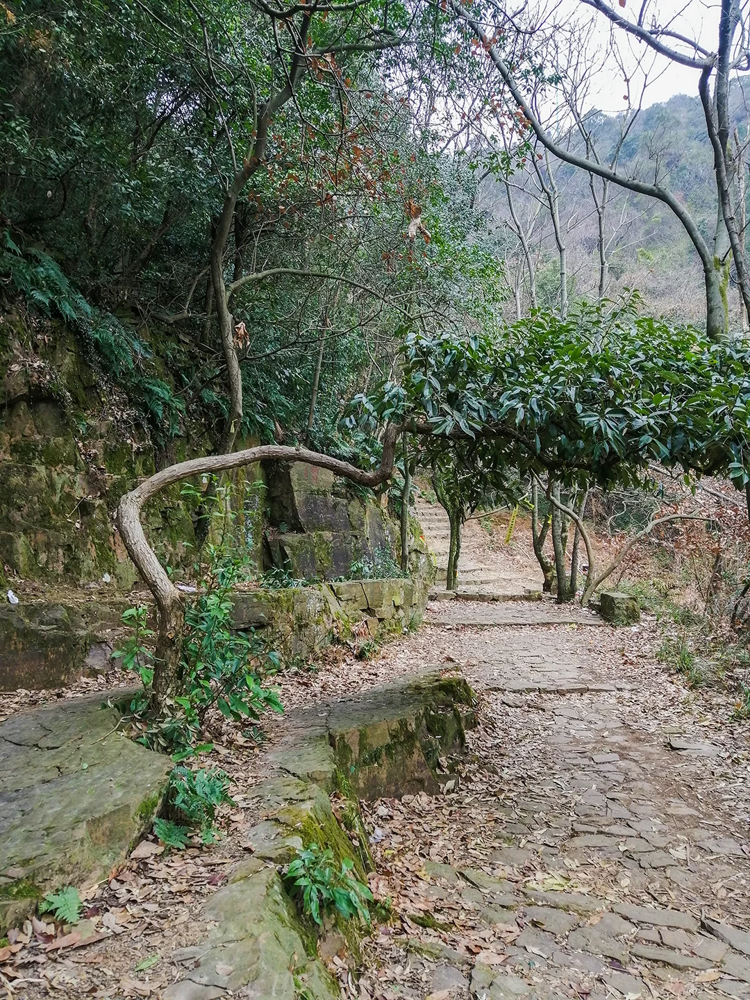 🏔每周一山：旺山大环线徒步攻略